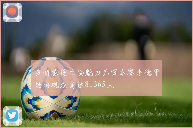 多特蒙德主场魅力无穷本赛季德甲场均观众高达81365人
