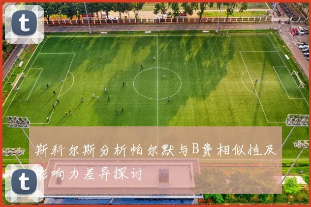 斯科尔斯分析帕尔默与B费相似性及影响力差异探讨
